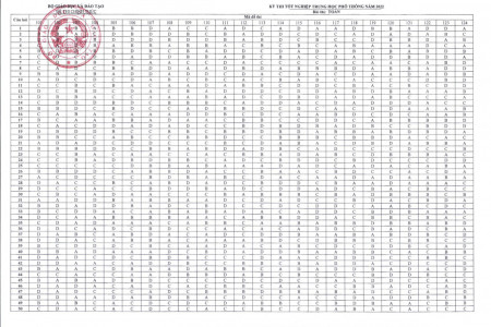 Đáp án chính thức môn Toán thi tốt nghiệp THPT 2022 | FULL 24 MÃ ĐỀ