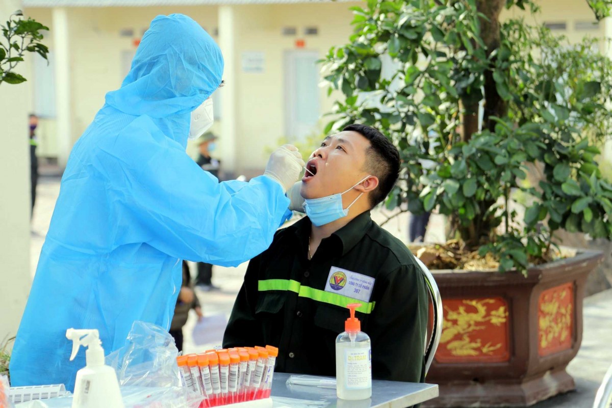 Bài viết chi tiết