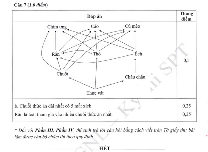 De minh hoa DGNL Dai hoc Su pham Ha Noi 2026 (Co dap an)